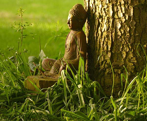 Yoga Teacher Training Course Essex Herts London