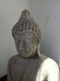 yoga-teacher-training-course-essex-herts-london